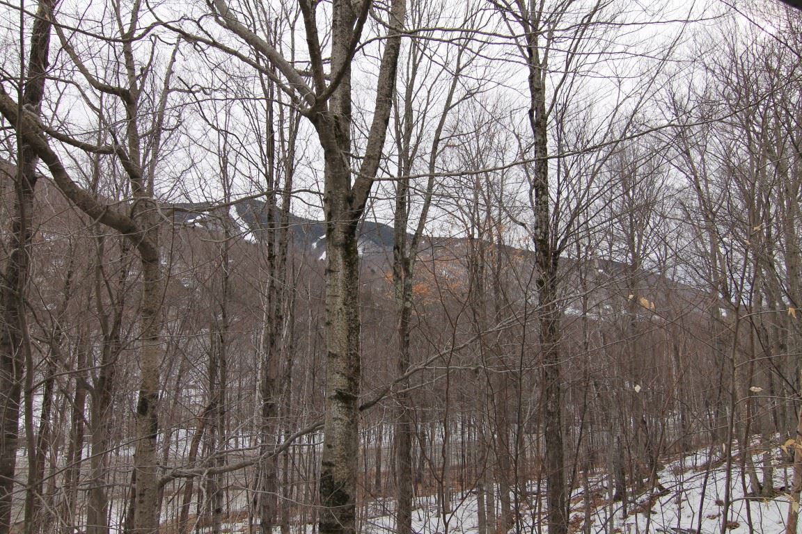 33 Clearbrook Road Lincoln, NH 03251 - Photo 18 of 25