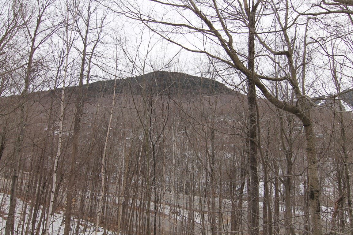 33 Clearbrook Road Lincoln, NH 03251 - Photo 19 of 25