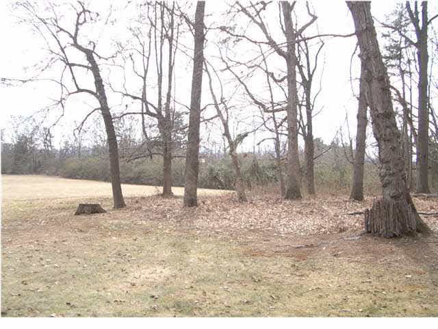 2011 Catlin Road Charlottesville, VA 22901 - Photo 5 of 7 a view of dirt yard with a tree