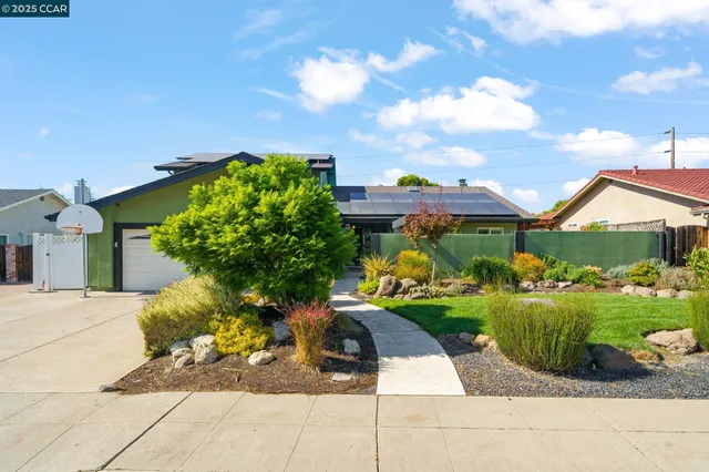 a view of a garden with a bench