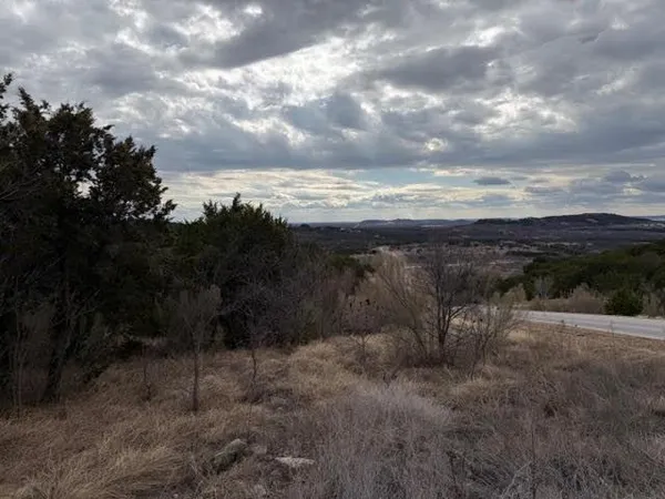a view of a dry yard with trees