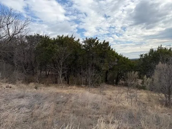 a view of a dry yard with trees