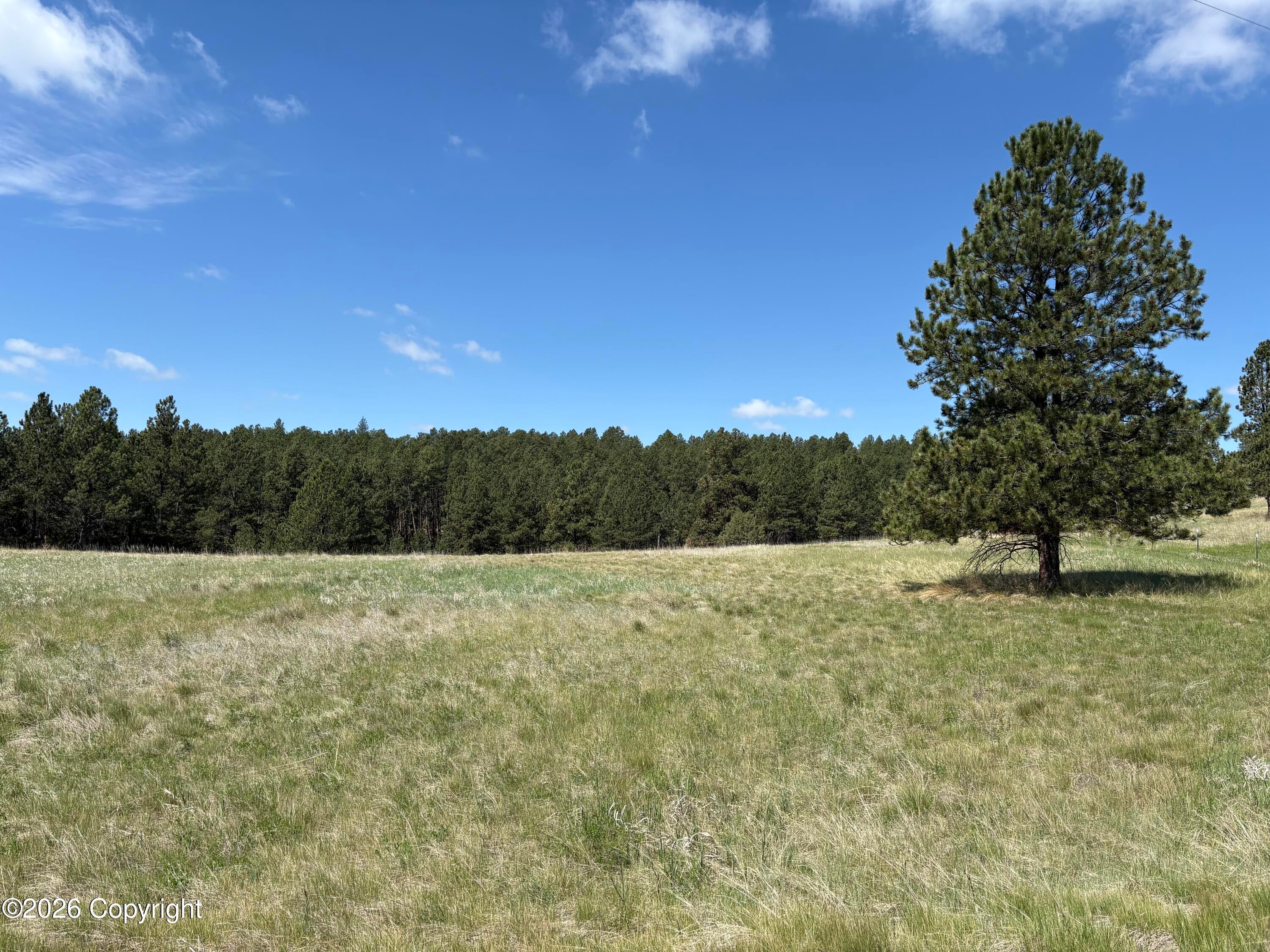 Tbd Homestead Road Newcastle, WY 82701 - Photo 6 of 15 IMG_3649