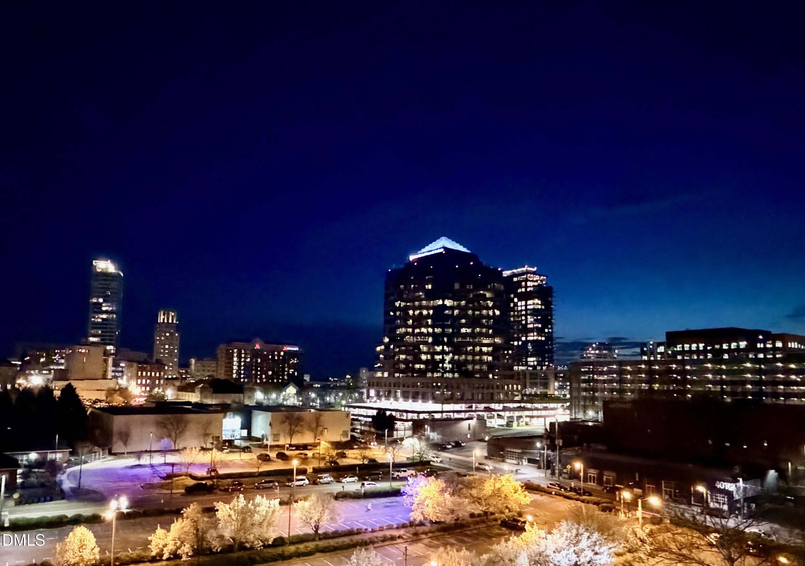 214 Hunt Street, Unit 710 Durham, NC 27701 - Photo 44 of 45 IMG_7280