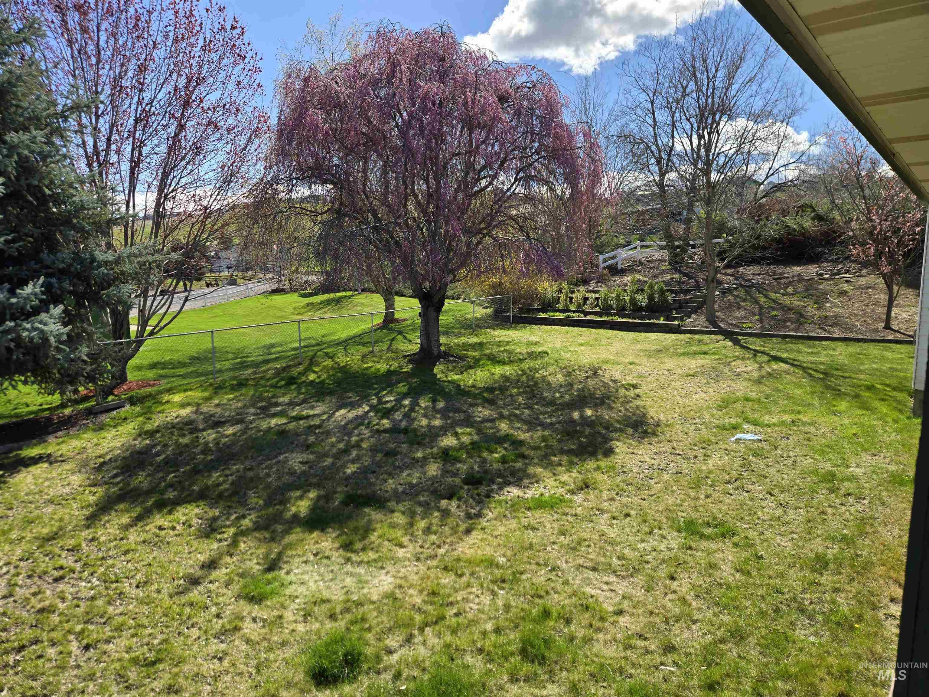 2794 9th Avenue Clarkston, WA 99403 - Photo 30 of 34 View of yard