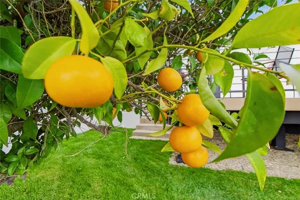 $3,275,000 | 1764 East Loma Alta Drive, Altadena, CA 91001