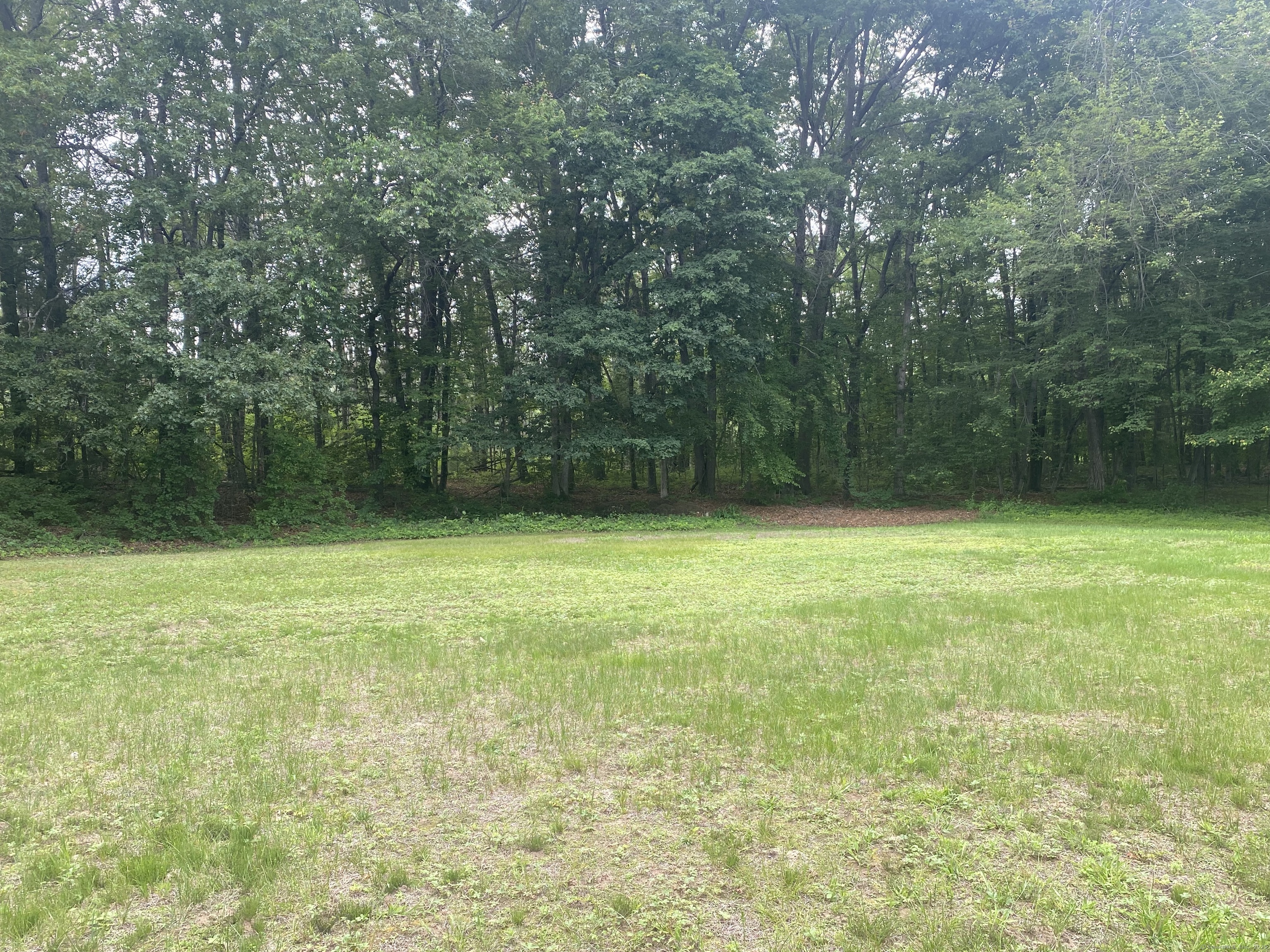 39 Loren Circle Windsor, CT 06095 - Photo 16 of 16 a view of a yard with a tree