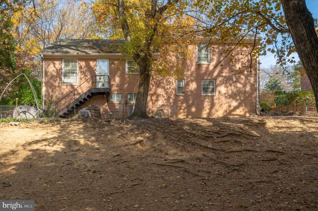 a view of a yard with large tree