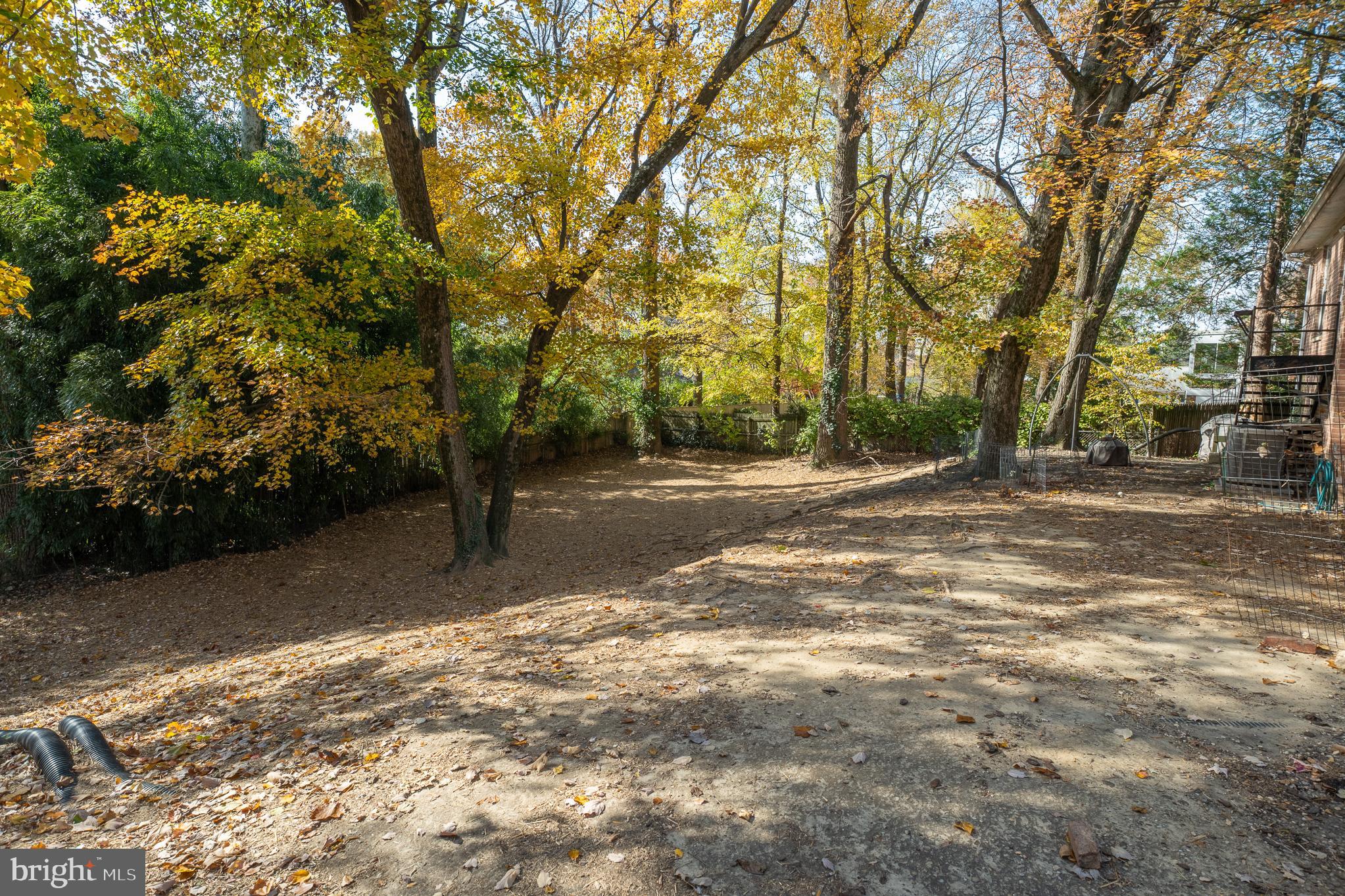 9713 Byeforde Road Kensington, MD 20895 - Photo 55 of 56 a backyard of a house with lots of green space