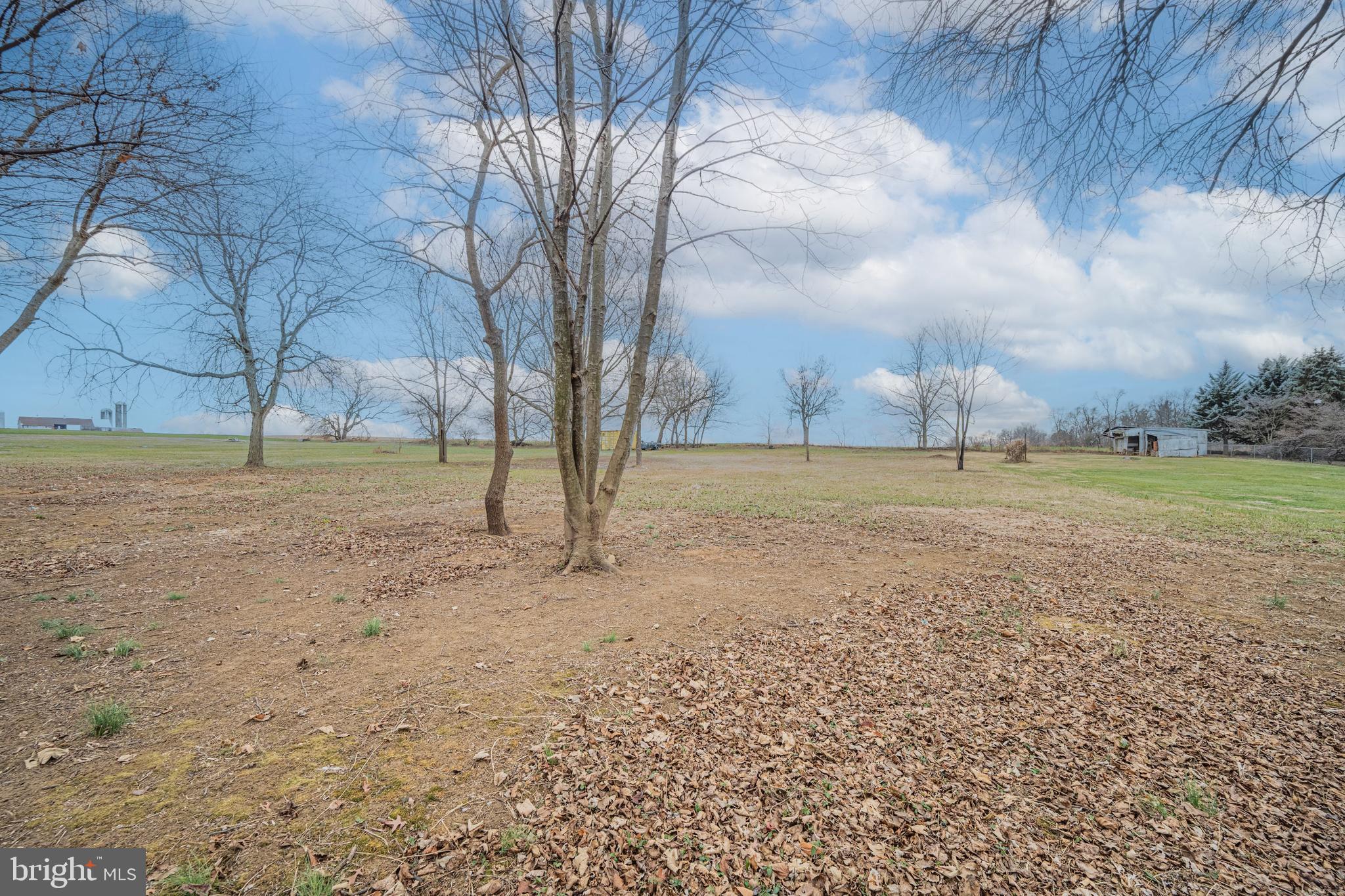 17731 Mason Dixon Road Hagerstown, MD 21740 - Photo 39 of 51 a view of a yard with a tree