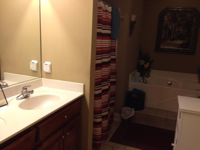2337 Glennridge Road Columbia, TN 38401 - Photo 13 of 20 Master bath