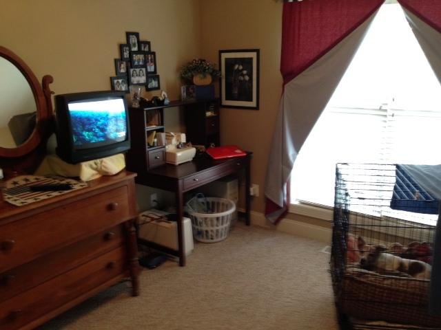 2337 Glennridge Road Columbia, TN 38401 - Photo 15 of 20 Third bedroom.
