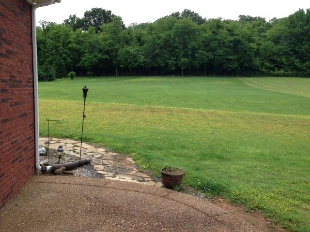 2337 Glennridge Road Columbia, TN 38401 - Photo 17 of 20 There is a patio outside the breakfast room door which leads to this fabulous back yard. Property goes to the tree line, 1.56 acres!