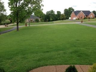 2337 Glennridge Road Columbia, TN 38401 - Photo 19 of 20 View from the front door
