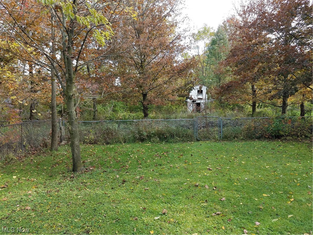 6389 Lear Nagle Road North Ridgeville, OH 44039 - Photo 33 of 35 view of the backyard. The barn is part of property