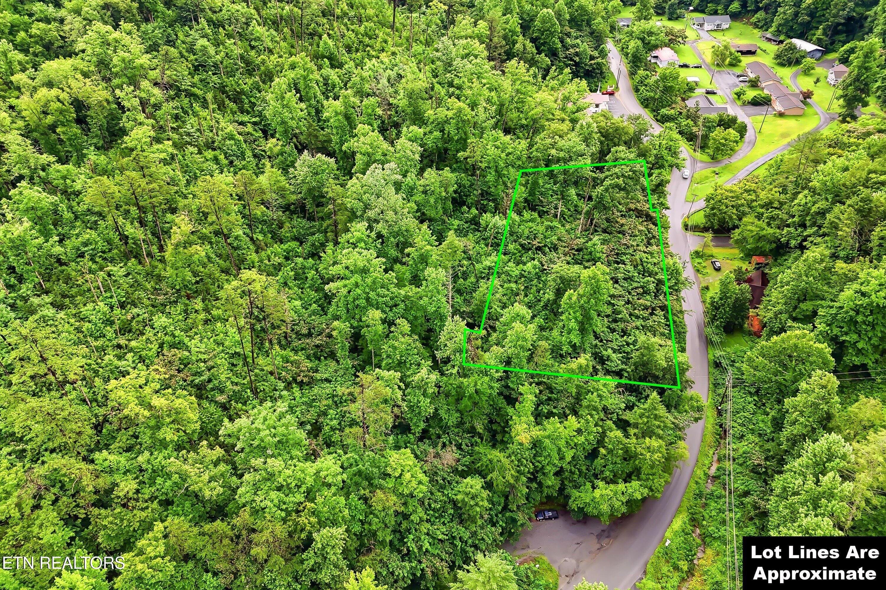 127 Beech Branch Road Gatlinburg, TN 37738 - Photo 4 of 18 07-FINAL-7