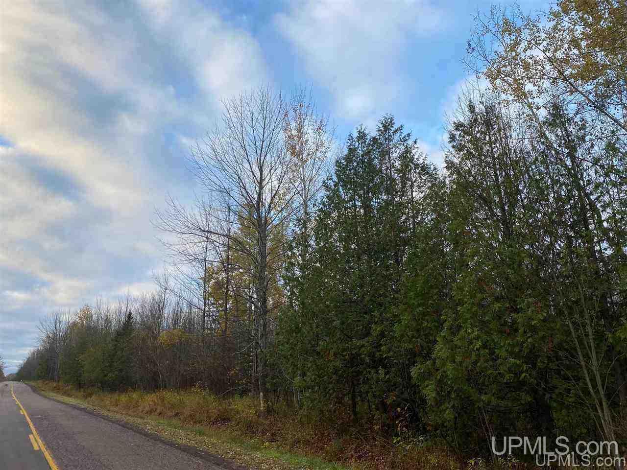 Tbd Rauhala Road Atlantic Mine, MI 49905 - Photo 13 of 27 Gallery Image 13