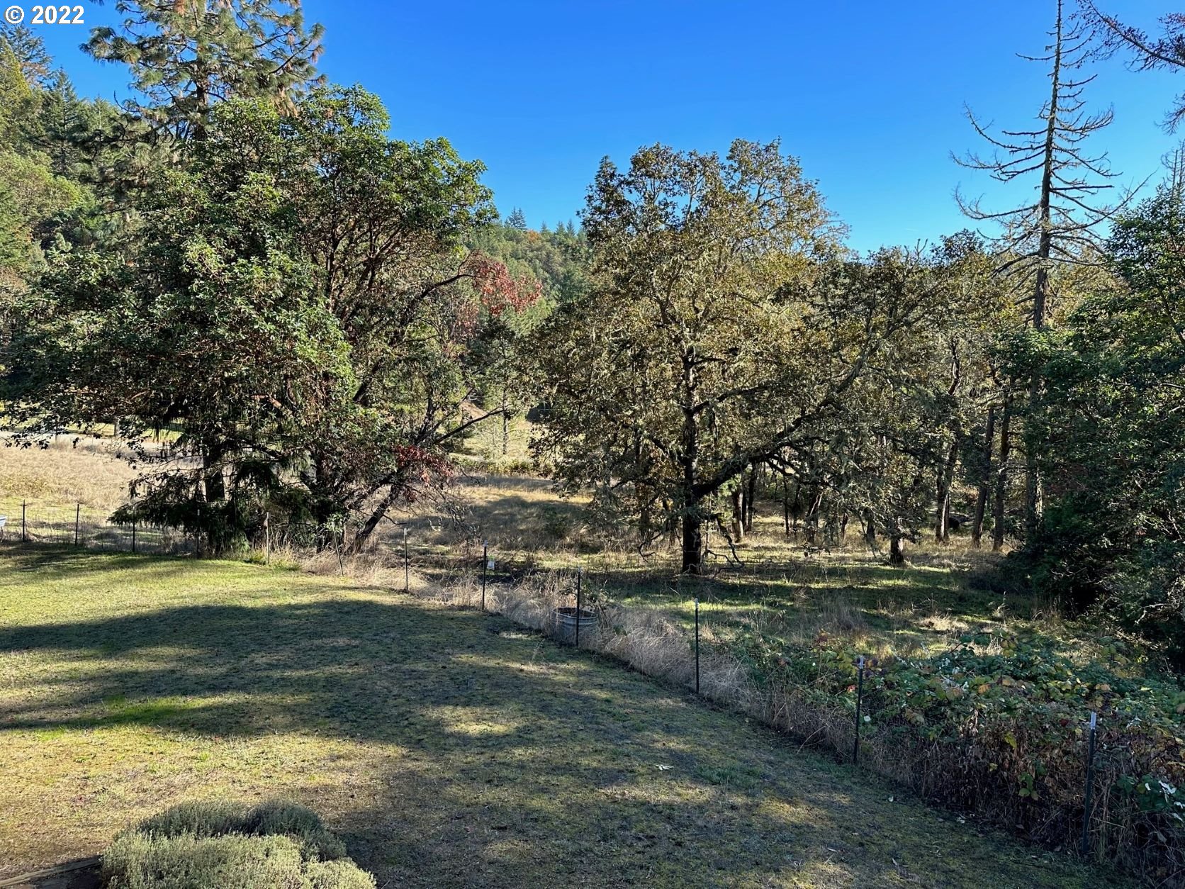 2026 Spring Brook Road Myrtle Creek, OR 97457 - Photo 6 of 32 a view of a park with large trees