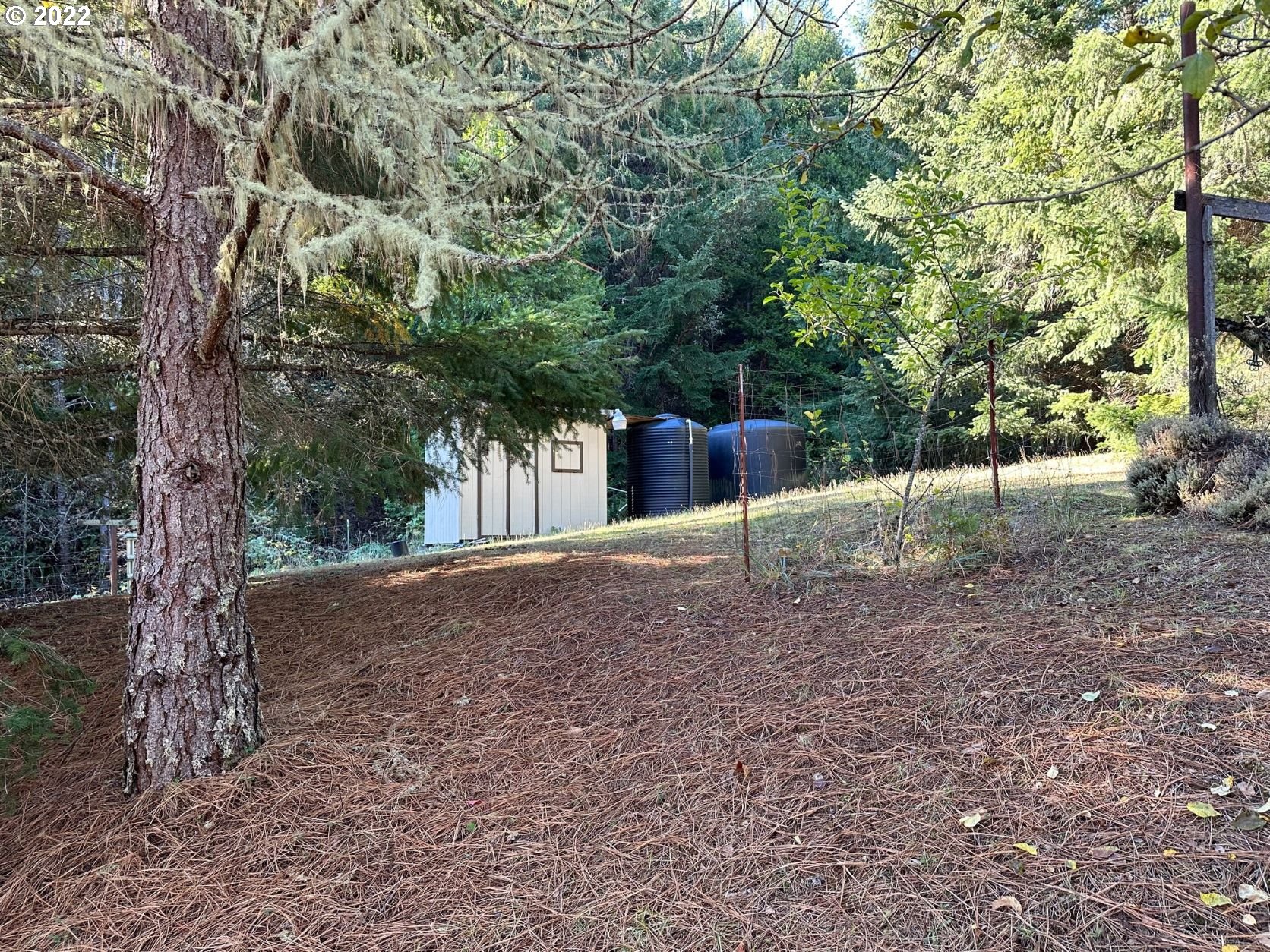 2026 Spring Brook Road Myrtle Creek, OR 97457 - Photo 9 of 32 a view of a backyard with large trees
