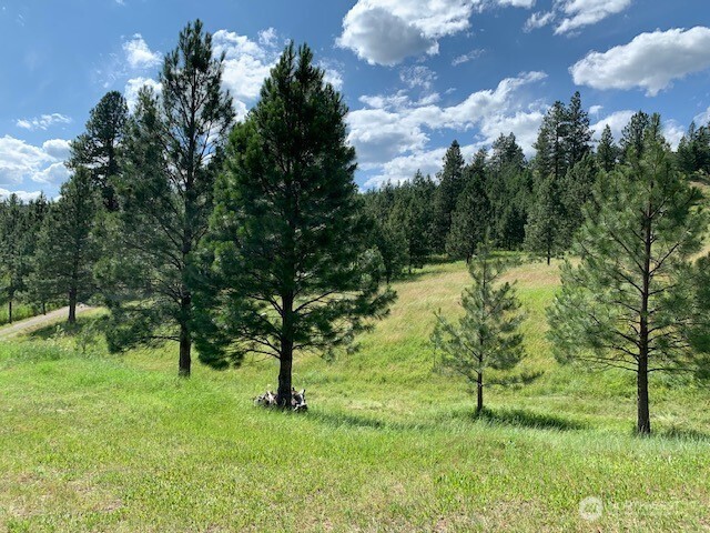 35 Low Ridge Road Malo, WA 99150 - Photo 29 of 40 a backyard of a house with lots of green space