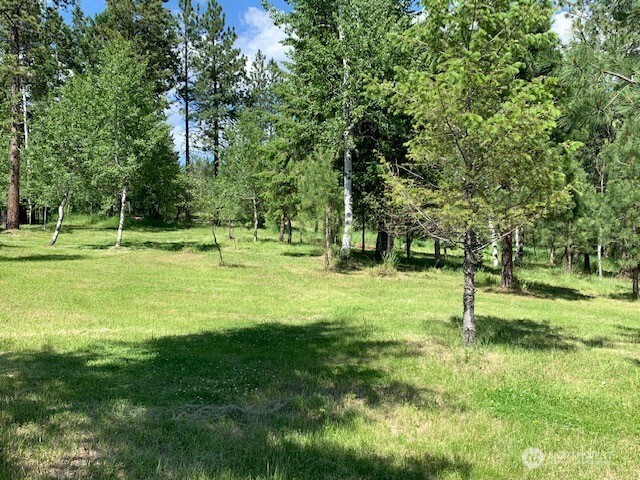 35 Low Ridge Road Malo, WA 99150 - Photo 30 of 40 a view of outdoor space with trees all around