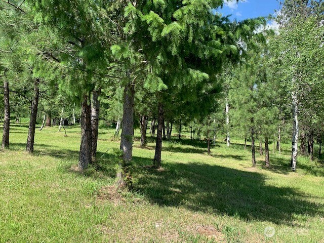 35 Low Ridge Road Malo, WA 99150 - Photo 32 of 40 a huge green field with lots of trees