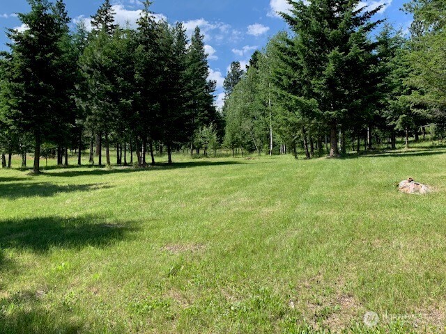 35 Low Ridge Road Malo, WA 99150 - Photo 33 of 40 a view of a grassy field with trees