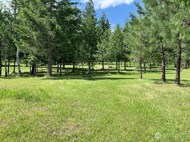 35 Low Ridge Road Malo, WA 99150 - Photo 34 of 40 a view of a park with trees and grass