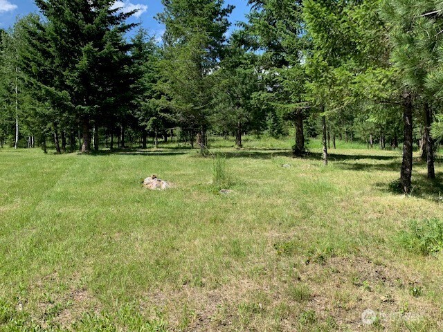 35 Low Ridge Road Malo, WA 99150 - Photo 35 of 40 a backyard of a house with lots of green space