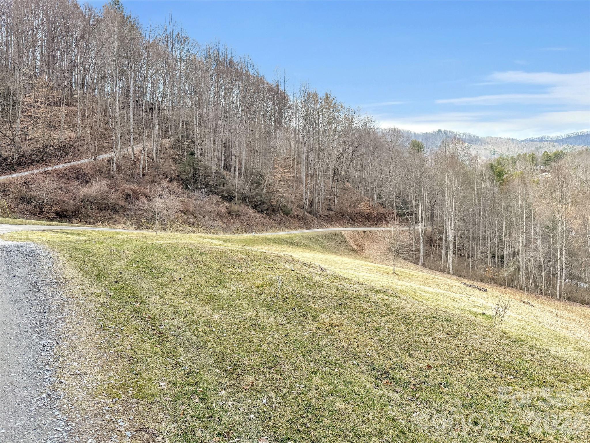 0 Seay Mountain Road Waynesville, NC 28785 - Photo 15 of 17