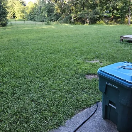 a view of a backyard with large trees