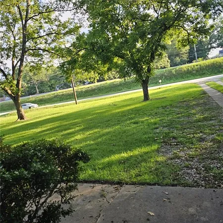 a view of a field with a tree