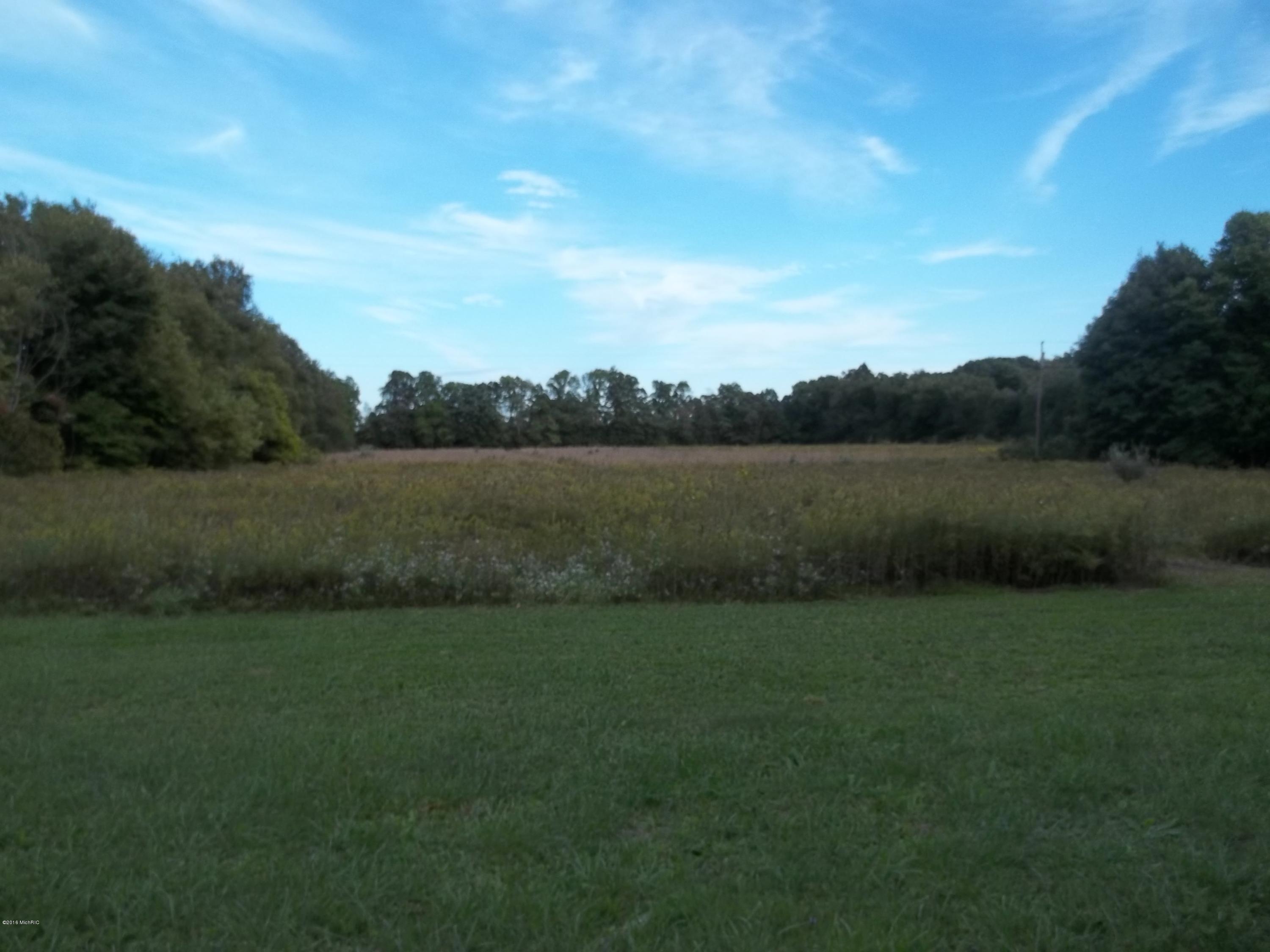 1179 River Road Union City, MI 49094 - Photo 1 of 7 100_3083