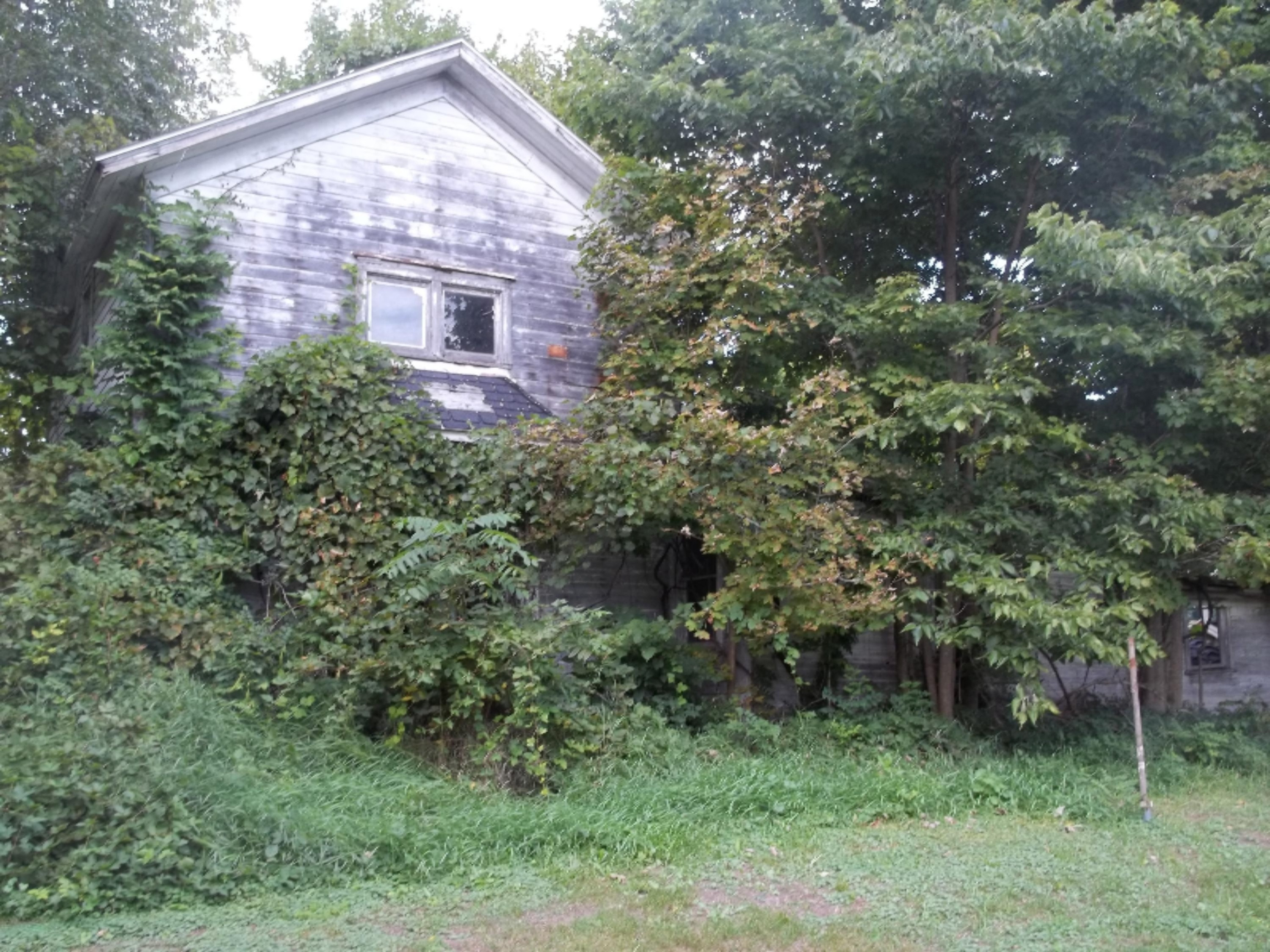 1179 River Road Union City, MI 49094 - Photo 3 of 7 100_3081