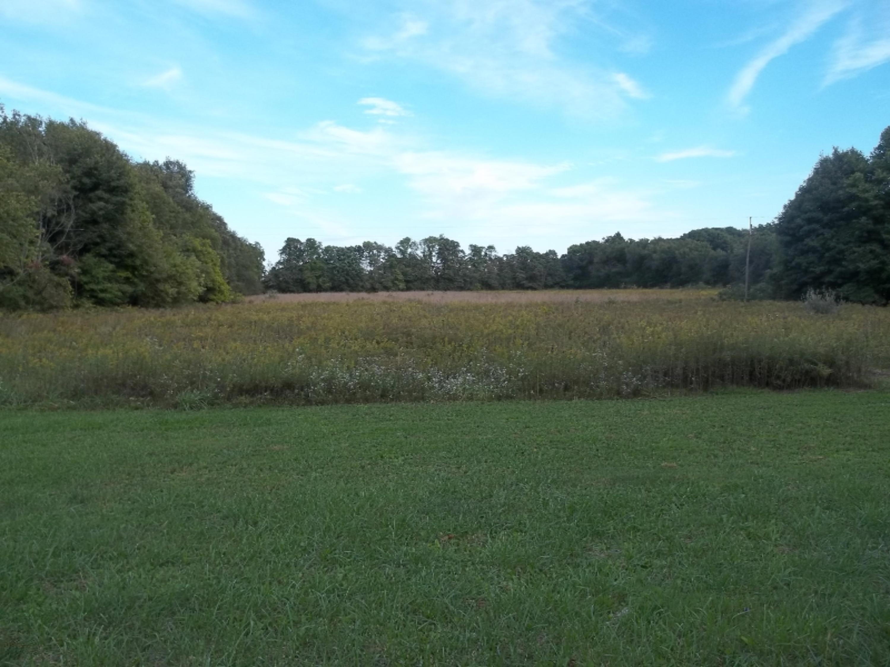 1179 River Road Union City, MI 49094 - Photo 5 of 7 100_3084