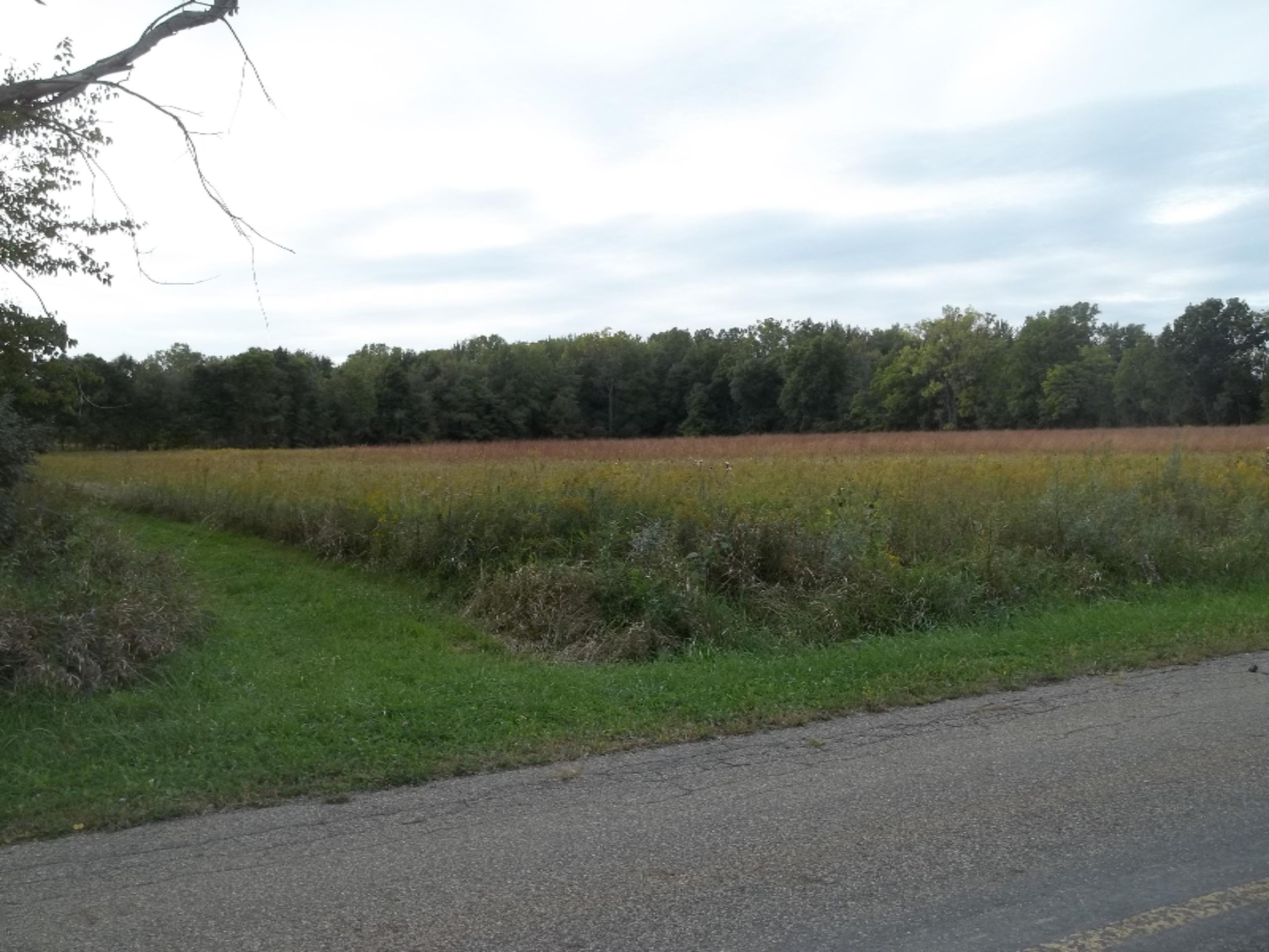 1179 River Road Union City, MI 49094 - Photo 6 of 7 100_3085