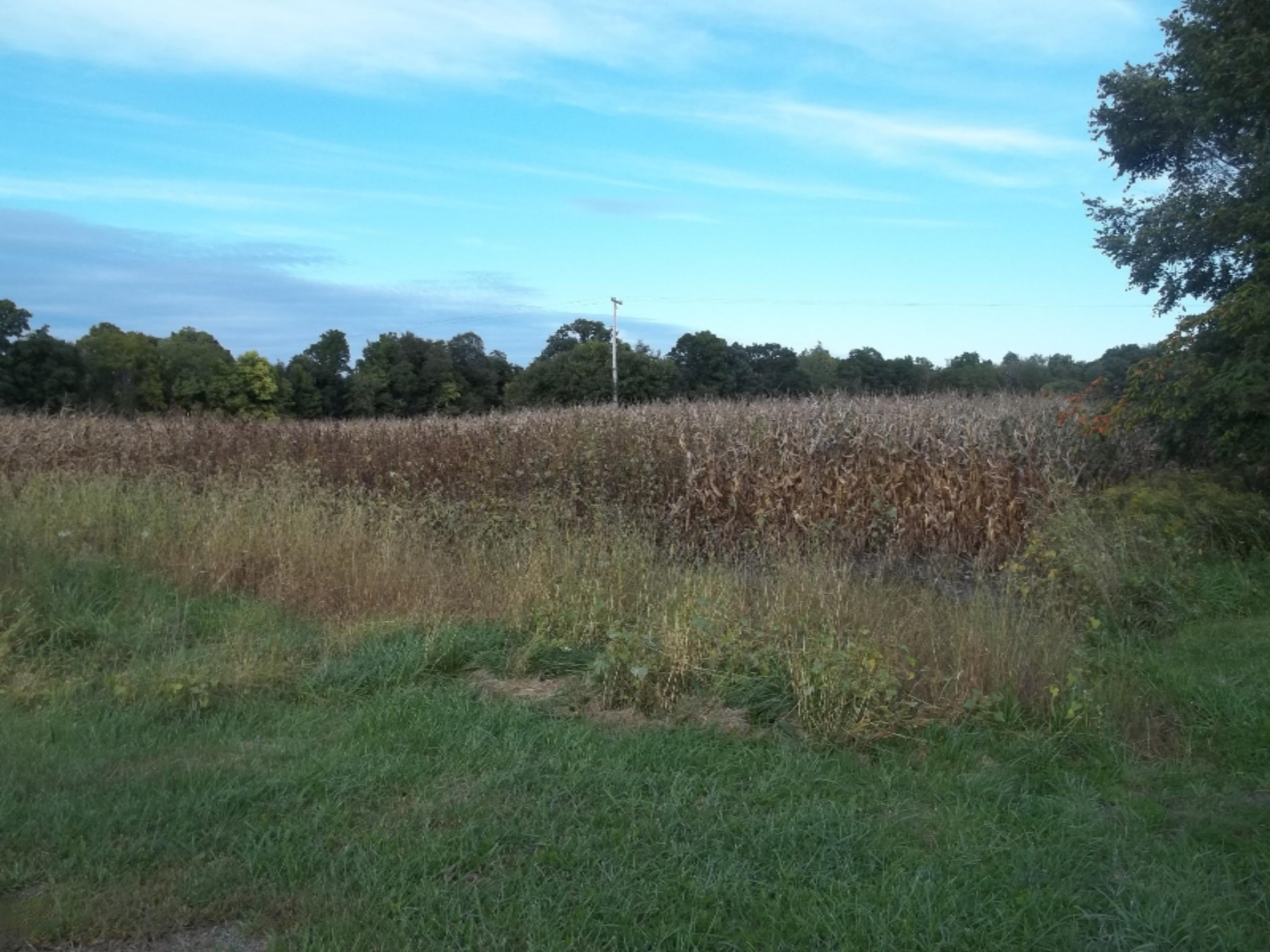 1179 River Road Union City, MI 49094 - Photo 7 of 7 100_3086