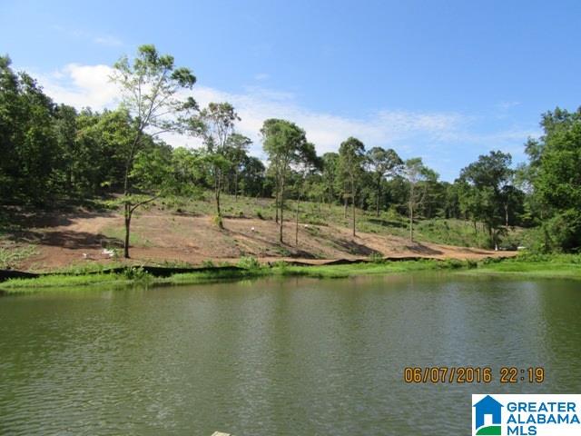 550 Davis Acres Drive, Unit 15 Alpine, AL 35014 - Photo 44 of 48