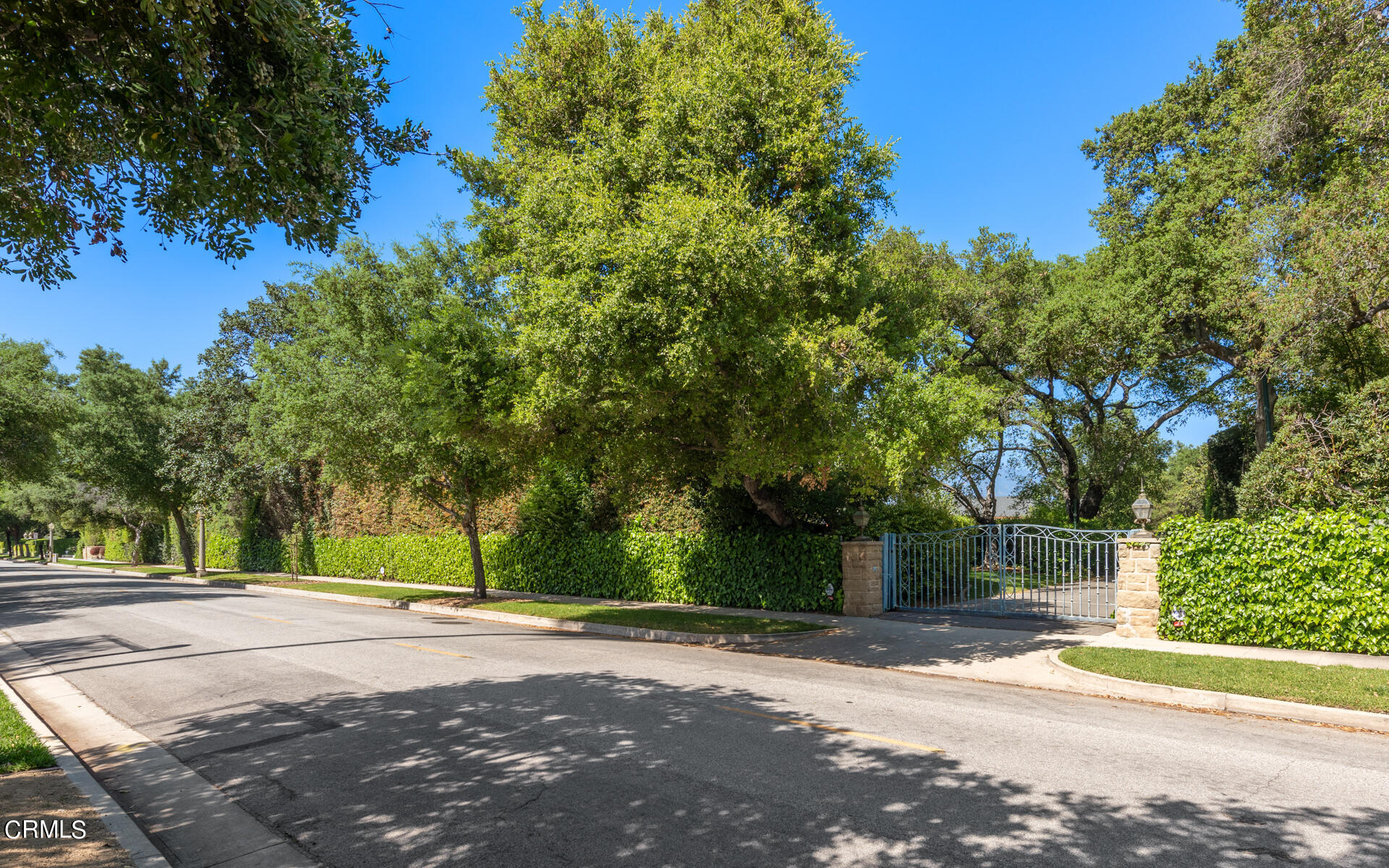 a view of street with trees and grass