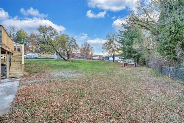 a view of a yard with a tree