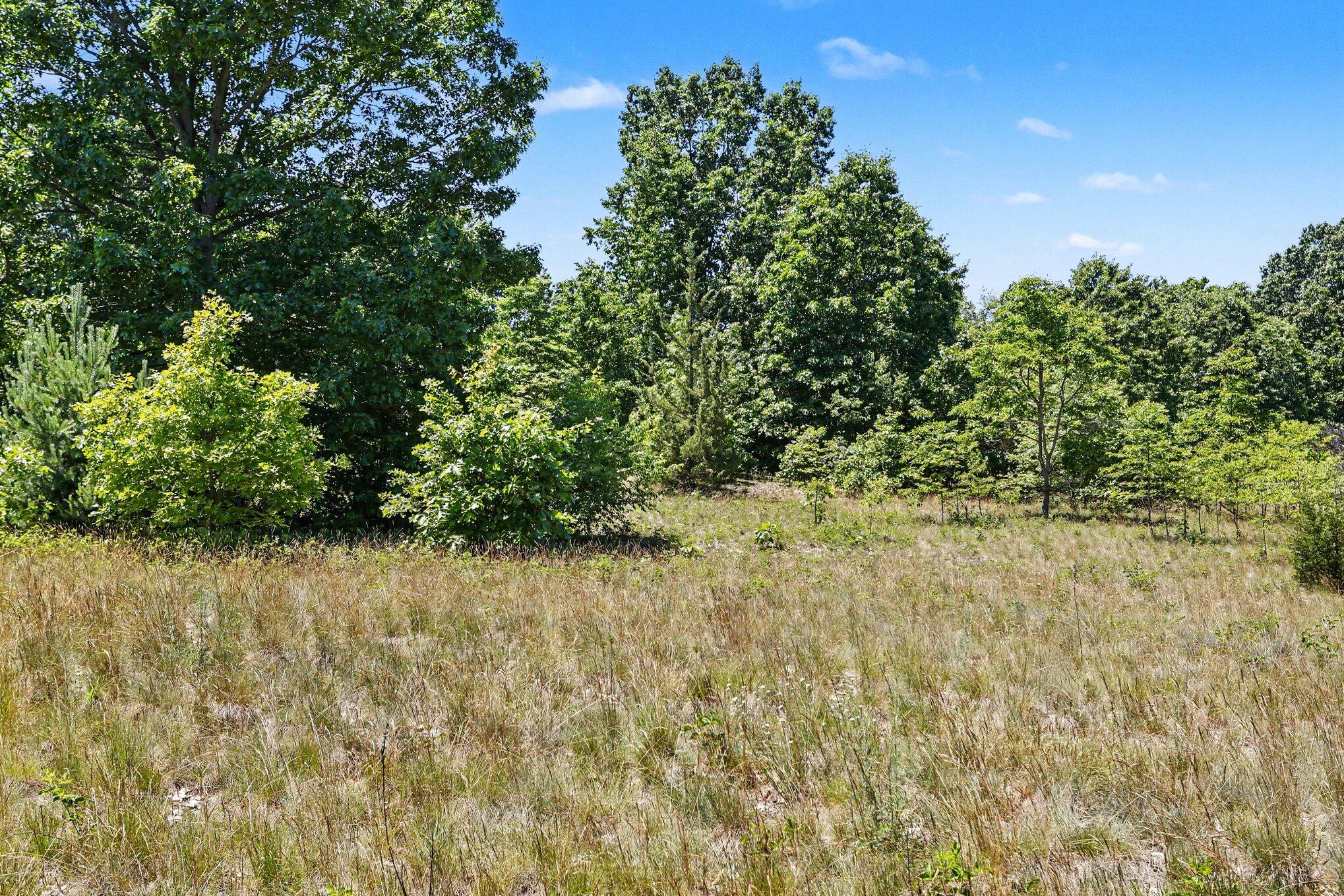 Vl Broderick Road Benton Harbor, MI 49022 - Photo 8 of 11 08_OnSite_Meadow_TreeLine