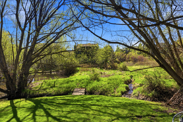 7935 Mustang Loop Road Park City, UT 84098 - Photo 15 of 60 Expansive backyard featuring a manicured lawn, a natural stream, mature deciduous trees, and lush green foliage