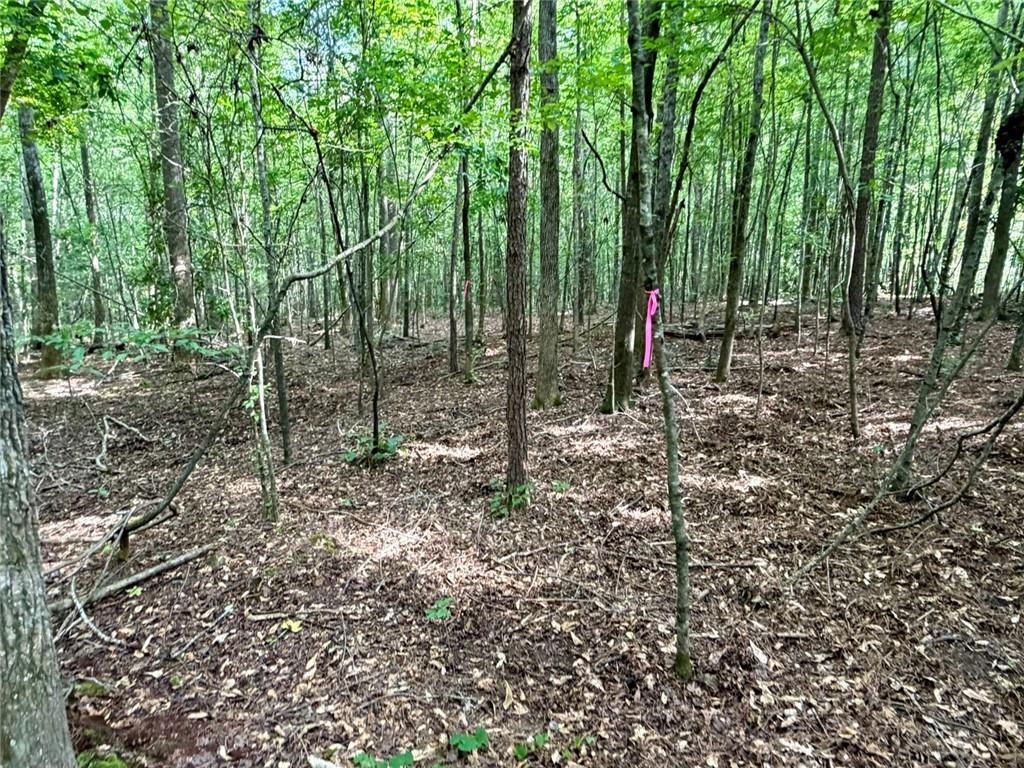 6.9 Rivertown Road Fairburn, GA 30213 - Photo 11 of 27