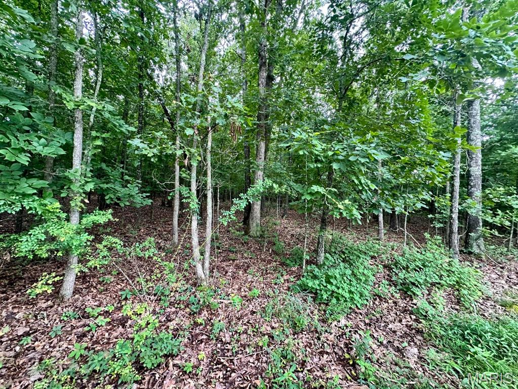 0 Co Road Salem, MO 65560 - Photo 2 of 3