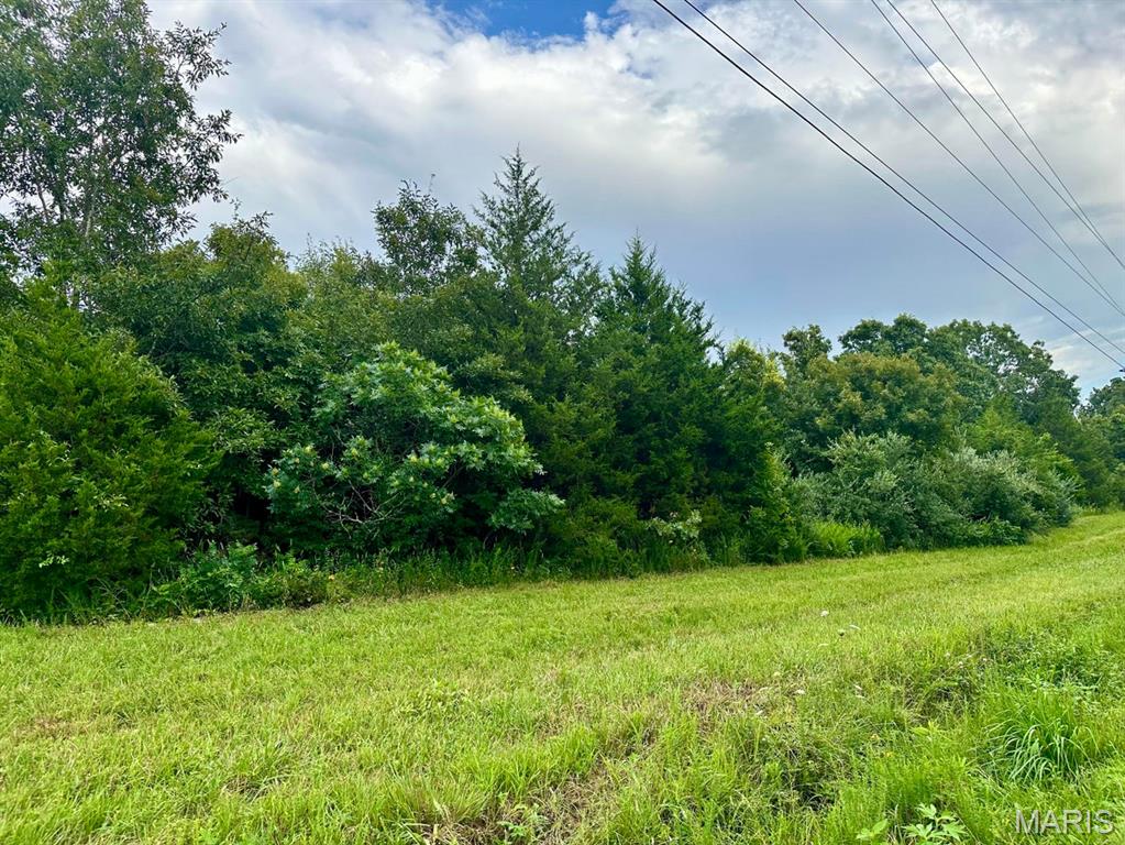 0 Co Road Salem, MO 65560 - Photo 3 of 3