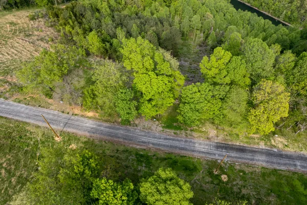 a view of a yard with a tree