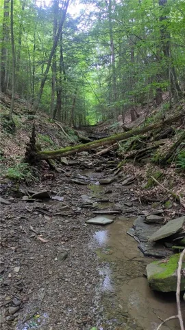 $199,999 | 0 Shute Road, Dansville, NY 14437