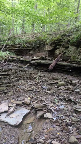 $199,999 | 0 Shute Road, Dansville, NY 14437