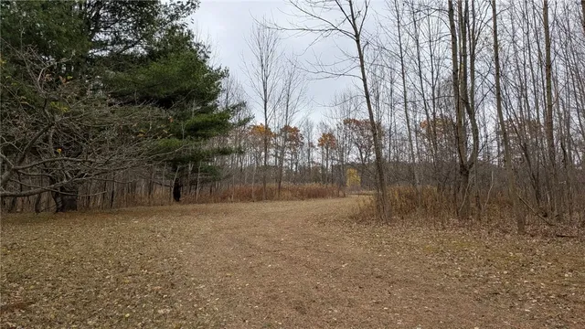 $199,999 | 0 Shute Road, Dansville, NY 14437