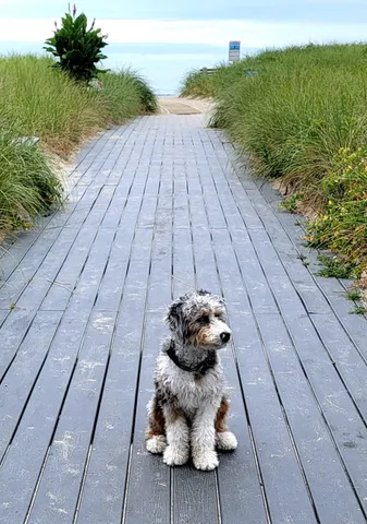 $1,589,000 | 108 Ocean Drive, Unit 1, Seabrook, NH 03874